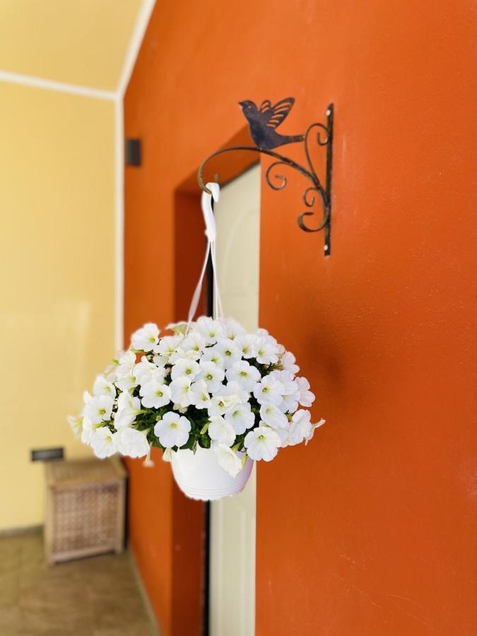 Il Giardino Di Iole Via Giovanni Amendola N36 Bed and Breakfast Σάσαρι Εξωτερικό φωτογραφία