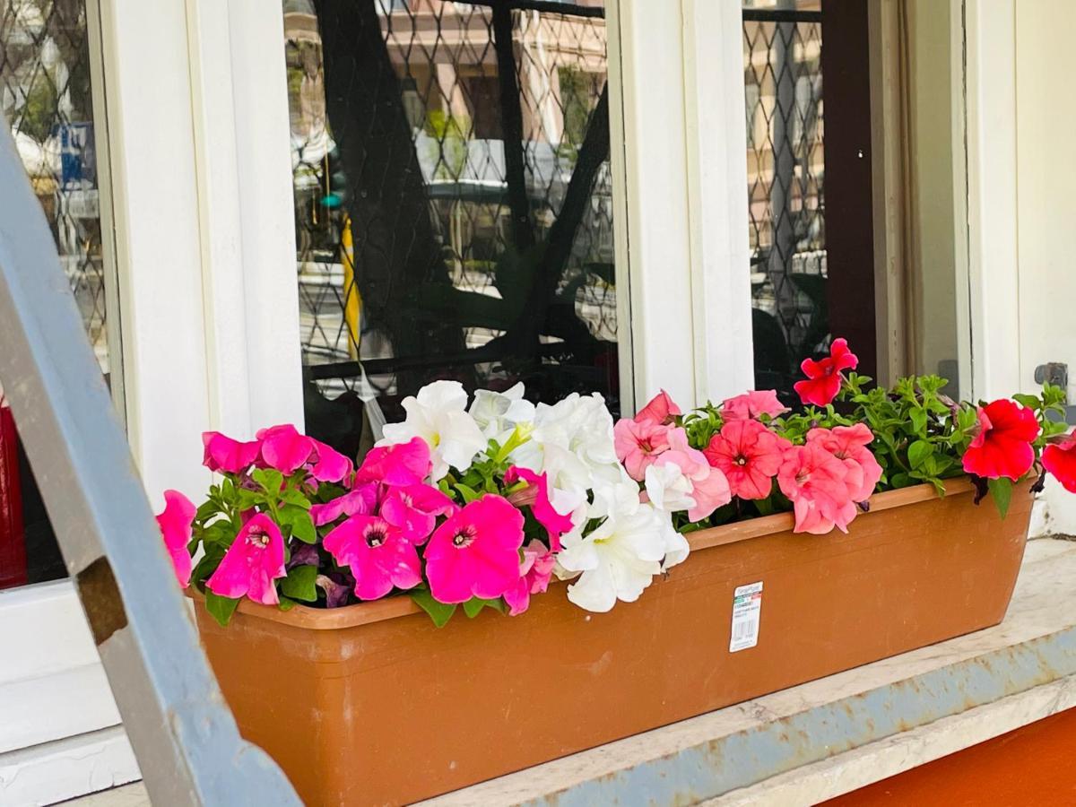 Il Giardino Di Iole Via Giovanni Amendola N36 Bed and Breakfast Σάσαρι Εξωτερικό φωτογραφία