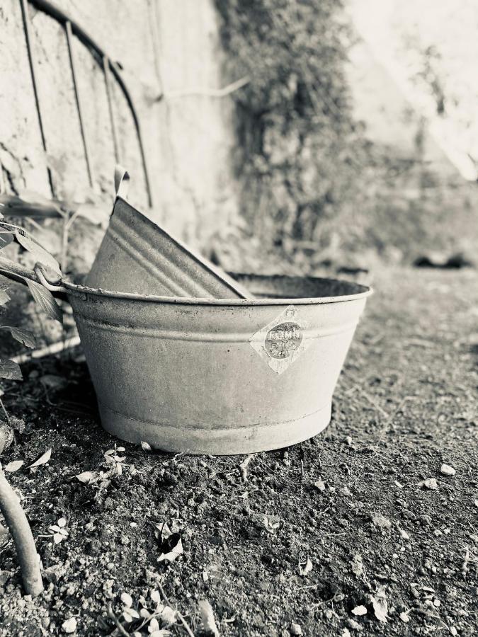 Il Giardino Di Iole Via Giovanni Amendola N36 Bed and Breakfast Σάσαρι Εξωτερικό φωτογραφία