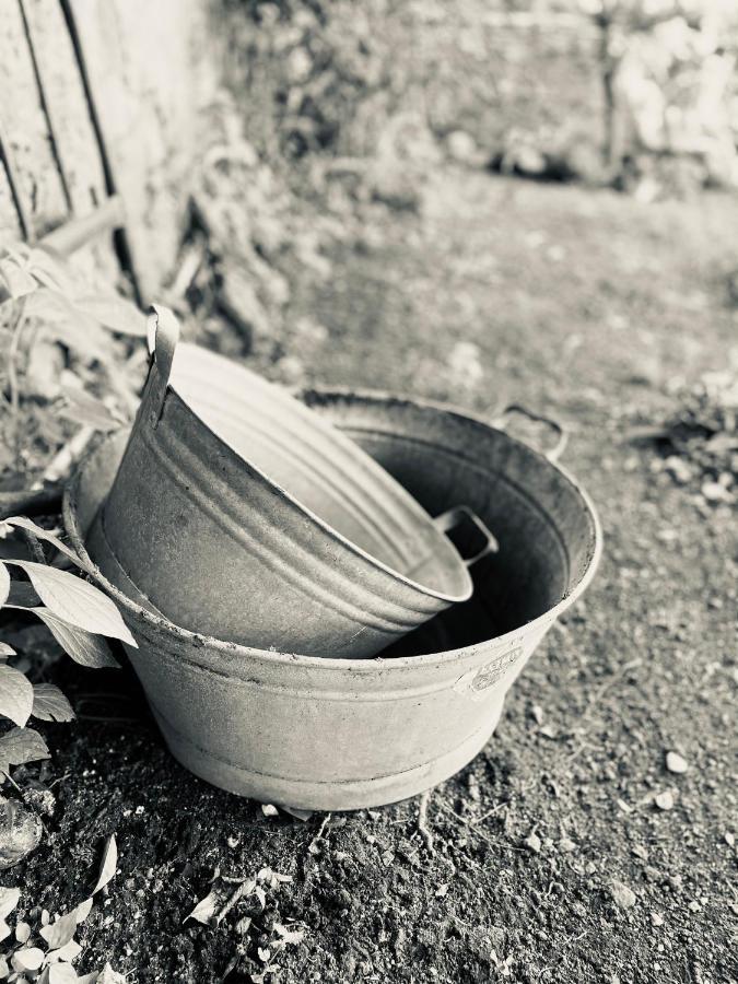 Il Giardino Di Iole Via Giovanni Amendola N36 Bed and Breakfast Σάσαρι Εξωτερικό φωτογραφία